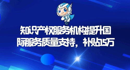 知識(shí)產(chǎn)權(quán)服務(wù)機(jī)構(gòu)提升國(guó)際服務(wù)質(zhì)量支持項(xiàng)目資金申報(bào)指南 15萬(wàn)元補(bǔ)貼助力企業(yè)走向世界